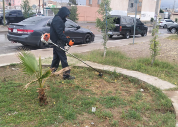 Mejoran parque en Horizontes del Sur para beneficio de familias