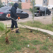 Mejoran parque en Horizontes del Sur para beneficio de familias