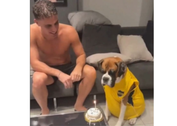 Oliver, el bóxer que “apagó” su vela de cumpleaños y conquistó las redes