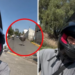 Avestruz escapa de rancho y persigue a motociclista; video se vuelve viral en redes