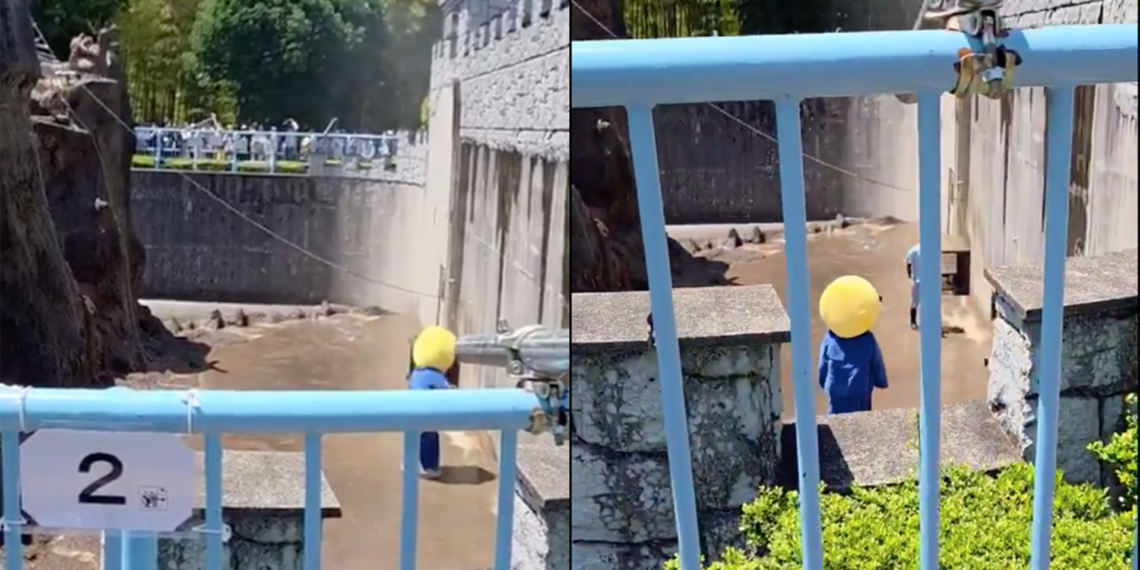 Arrestan a dos estadounidenses por irrumpir en zoológico de Punch para promocionar criptomoneda