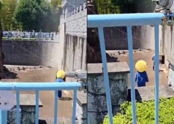 Arrestan a dos estadounidenses por irrumpir en zoológico de Punch para promocionar criptomoneda