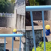 Arrestan a dos estadounidenses por irrumpir en zoológico de Punch para promocionar criptomoneda