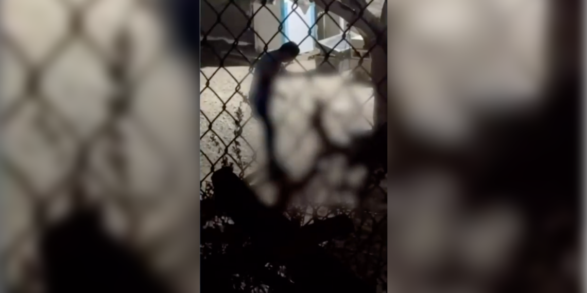 Detienen a hombre por presunto mal.trato animal en la colonia Felipe Ángeles