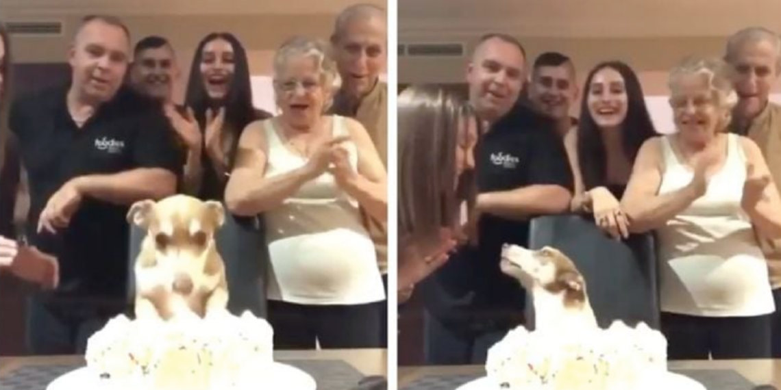 Perrito celebra su cumpleaños y enternece a miles en redes sociales