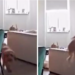 Perro sorprende en redes con increíble salto captado por cámara de seguridad