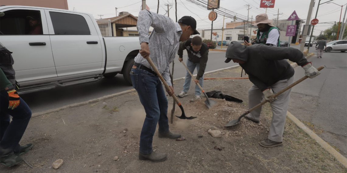 Realizan jornada de reforestación en avenida Hermanos Escobar para mejorar el entorno urbano