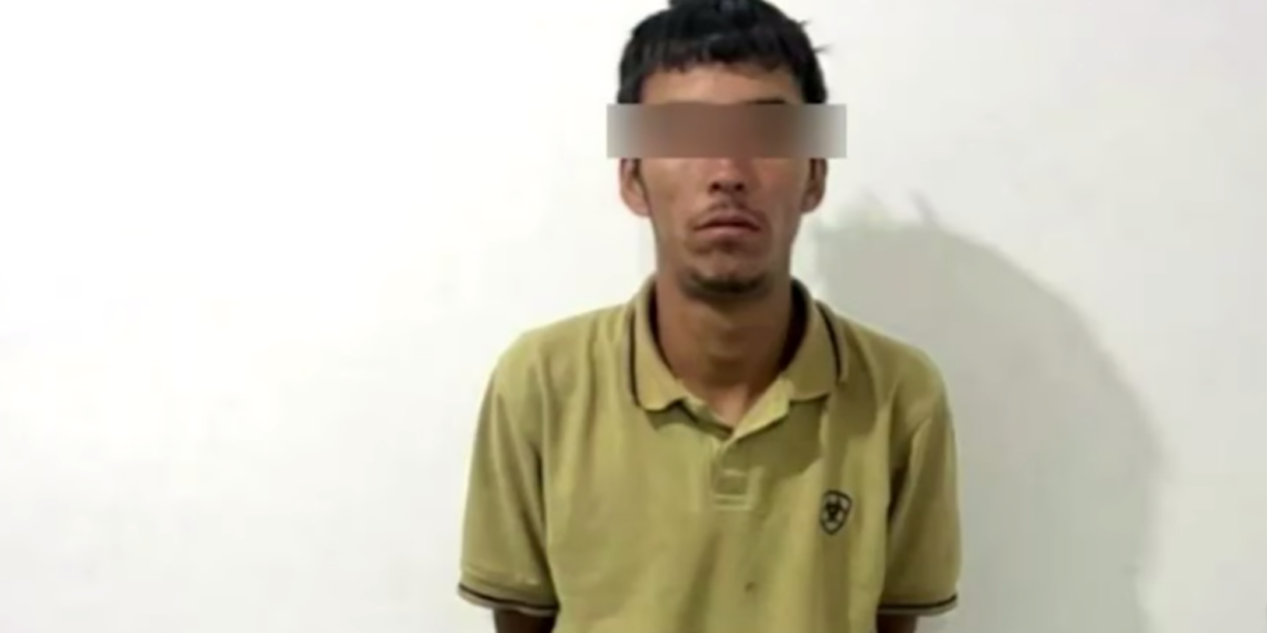 Capturan a joven y localizan dos tigres de bengala durante operativo en Nonoava