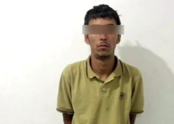 Capturan a joven y localizan dos tigres de bengala durante operativo en Nonoava