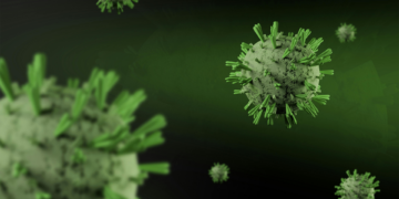 Francia activa vigilancia sanitaria tras caso de hantavirus en crucero MV Hondius