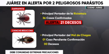 Alerta por garrapatas y chinches besuconas; refuerzan acciones preventivas en Juárez