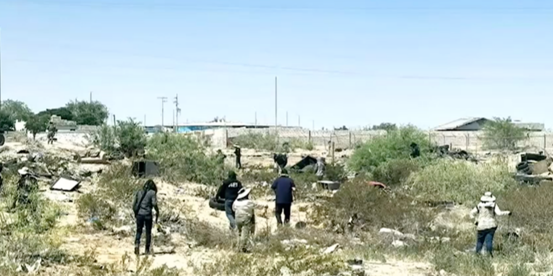 Madres buscadoras realizan jornada de rastreo en predio de Portal del Roble