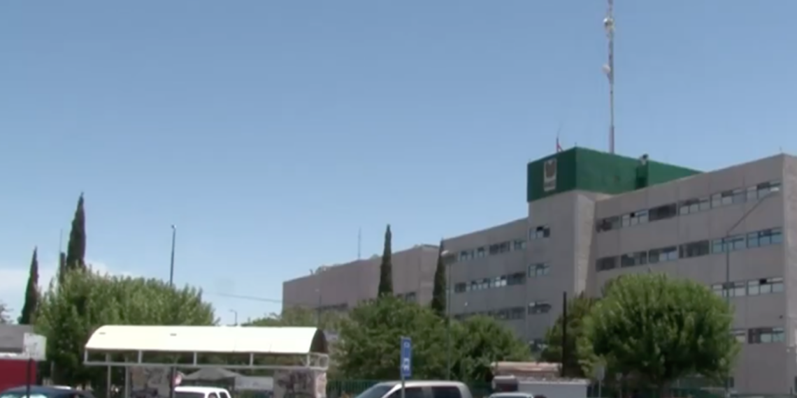 Estudiante de primaria permanece grave tras contraer rickettsiosis por mordedura de garrapata