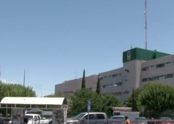 Estudiante de primaria permanece grave tras contraer rickettsiosis por mordedura de garrapata