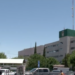 Estudiante de primaria permanece grave tras contraer rickettsiosis por mordedura de garrapata