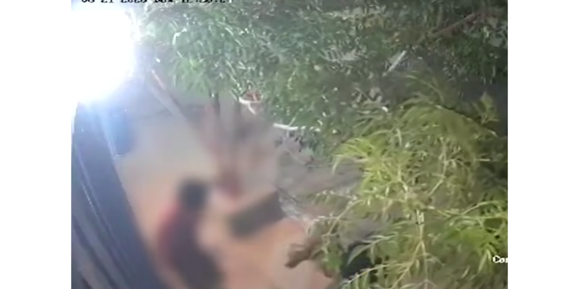 Adolescente resulta lesionado tras ata.que de perro en Portal del Roble