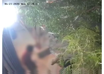 Adolescente resulta lesionado tras ata.que de perro en Portal del Roble