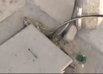 Vecinos denuncian riesgo por cables de alta tensión expuestos en la colonia Carlos Chavira