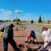 Reforestan con 50 fresnos el camellón central del eje vial Juan Gabriel