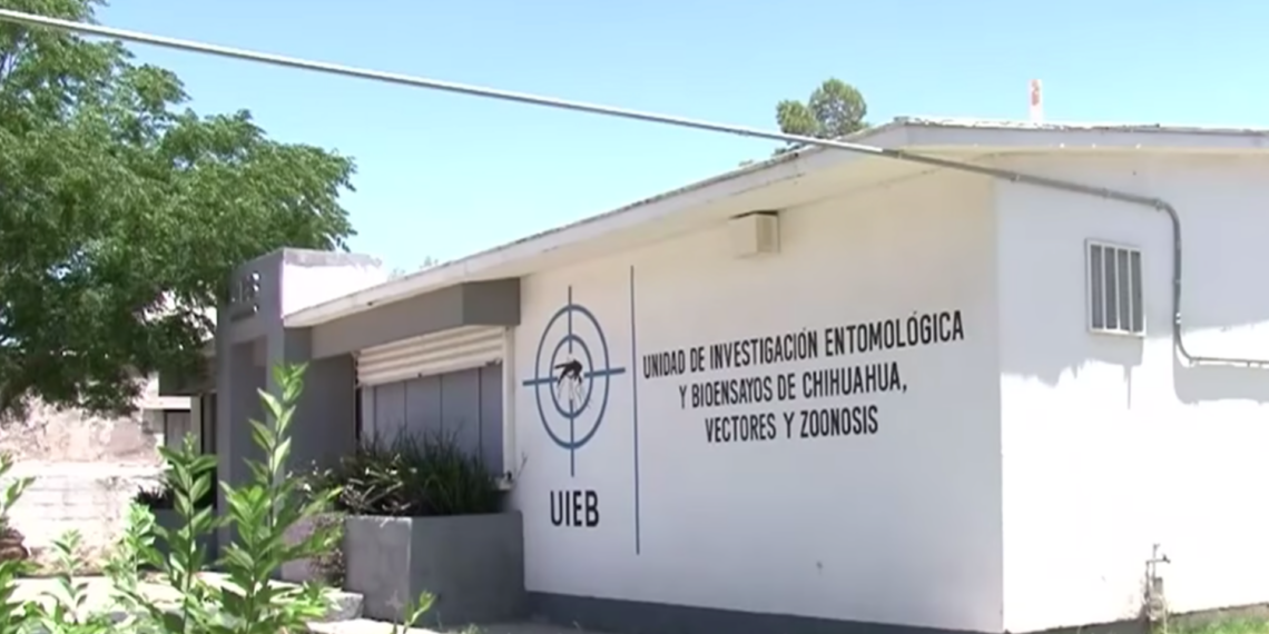 Alertan por riesgo de enfermedad de Chagas transmitida por la “chinche besucona”