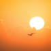 Calor de hasta 35 grados marcará el clima de este martes en Ciudad Juárez