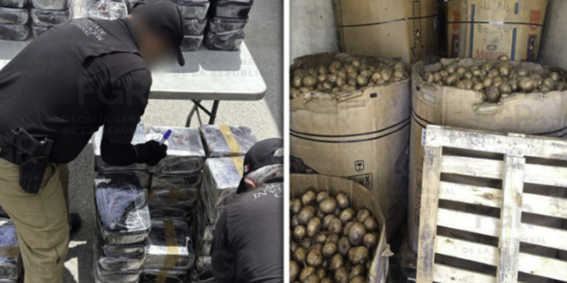 Aseguran casi una tonelada de presunta metan.fetamina oculta en cargamento de jícamas