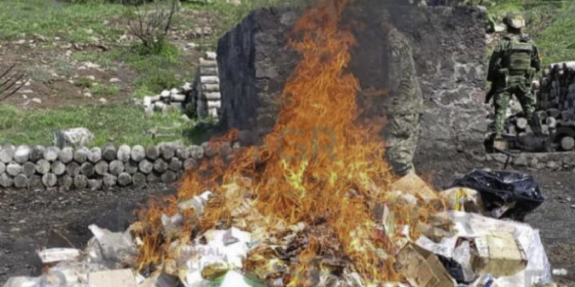 FGR destruye más de 179 kilos de dro.ga y miles de psico.trópicos en el Estado de México