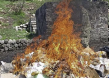 FGR destruye más de 179 kilos de dro.ga y miles de psico.trópicos en el Estado de México