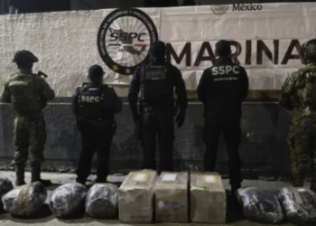 Aseguran 150 kilos de metanfetamina en Baja California; evitan distribución de 3.7 millones de dosis