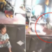 VIDEO I Abuelita protege a su nieto durante terremoto de 7.8 en Filipinas y logra salvarle la vida