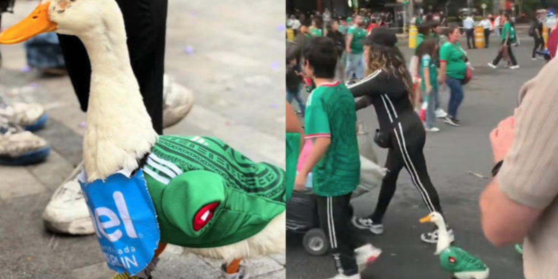 Pato "Merlín" conquista las redes durante los festejos de México