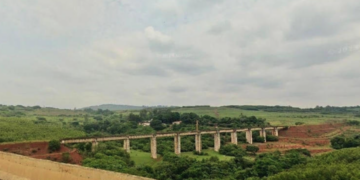 Acusan de homicidio a operadores que lanzaron a joven sin sujeción desde un puente en Brasil