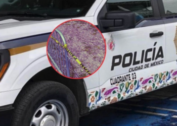 Padre de joven colombiana asesinada en CDMX pide ayuda para repatriar su cuerpo: “No la puedo dejar allá”