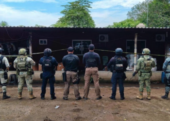 Aseguran mega arsenal en Veracruz; decomisan 108 ar.mas largas, 50 gra.nadas y más de 51 mil cartuchos