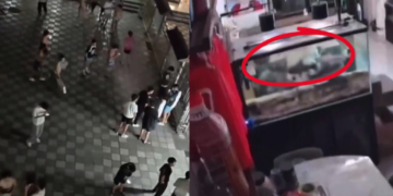 Fuerte terremoto sacude China este lunes 29 de junio; videos captan momentos de pánico