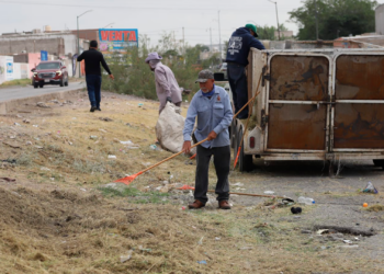 Dan mantenimiento y limpieza a camellón de la calle Yepómera