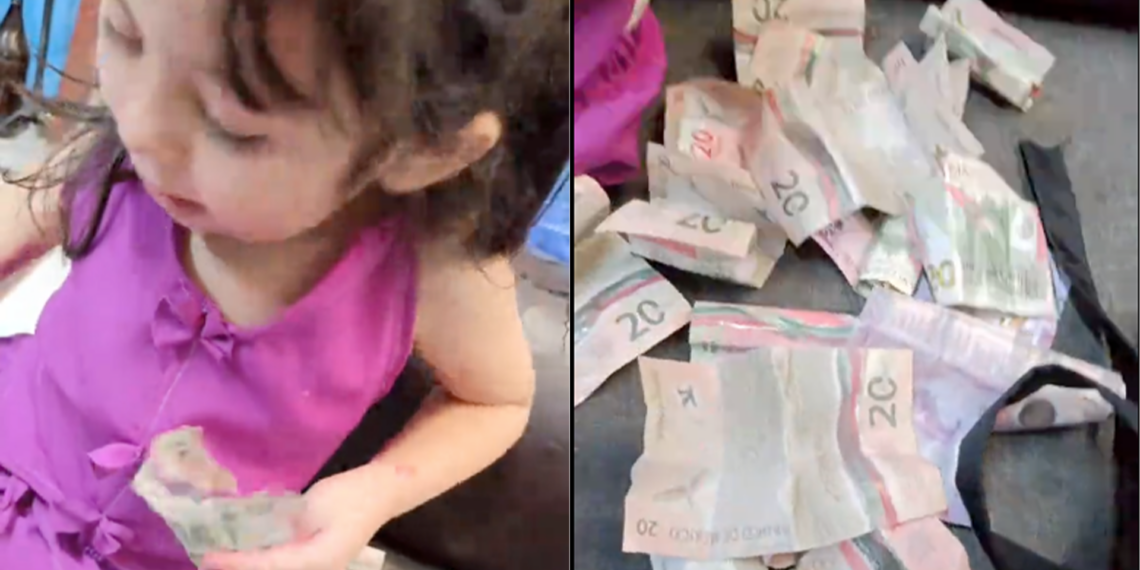 Niña se vuelve viral al contar sus ahorros para contratar a Intocable en su cumpleaños