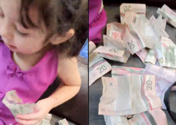Niña se vuelve viral al contar sus ahorros para contratar a Intocable en su cumpleaños