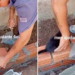 Gatito "ayuda" a albañil en plena construcción y conquista las redes sociales