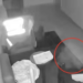 ¿Gato fantasma? Video viral desata debate tras presunta aparición paranormal