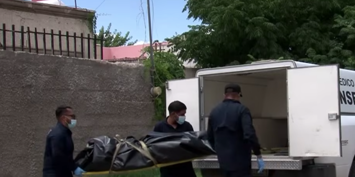Hallan sin vida a rescatista de animales en avanzado estado de descom.posición e infestada de garrapatas
