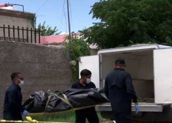 Hallan sin vida a rescatista de animales en avanzado estado de descom.posición e infestada de garrapatas