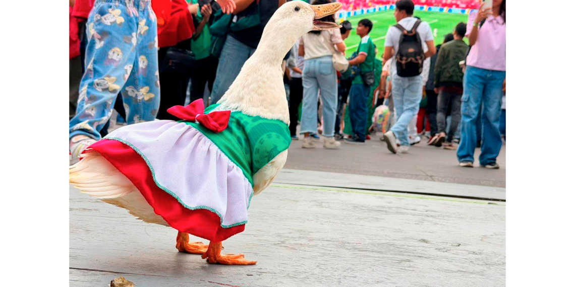 Juanita roba miradas en el Fan Fest y ya la relacionan con Merlín, el famoso pato mundialista