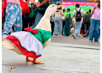 Juanita roba miradas en el Fan Fest y ya la relacionan con Merlín, el famoso pato mundialista