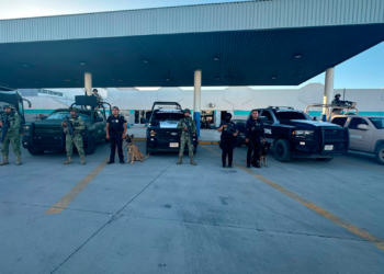 Operativo K9 refuerza la seguridad en la Terminal Central de Autobuses