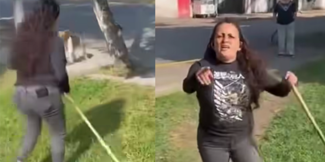 Mujer intenta retirar perros de parque y desata debate en redes sociales
