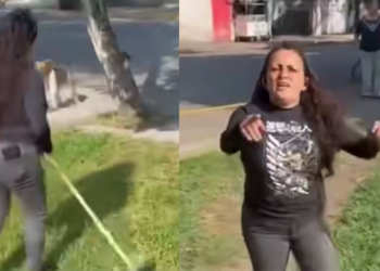Mujer intenta retirar perros de parque y desata debate en redes sociales