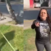 Mujer intenta retirar perros de parque y desata debate en redes sociales