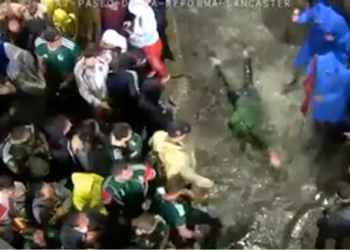 Aficionado se vuelve viral al nadar en un charco tras triunfo de México bajo la lluvia