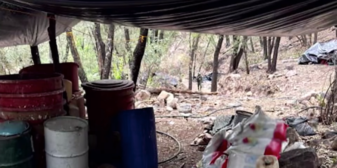 Desmantelan macro nar.colaboratorio en la sierra de Chihuahua; golpean finanzas del cri.men organizado
